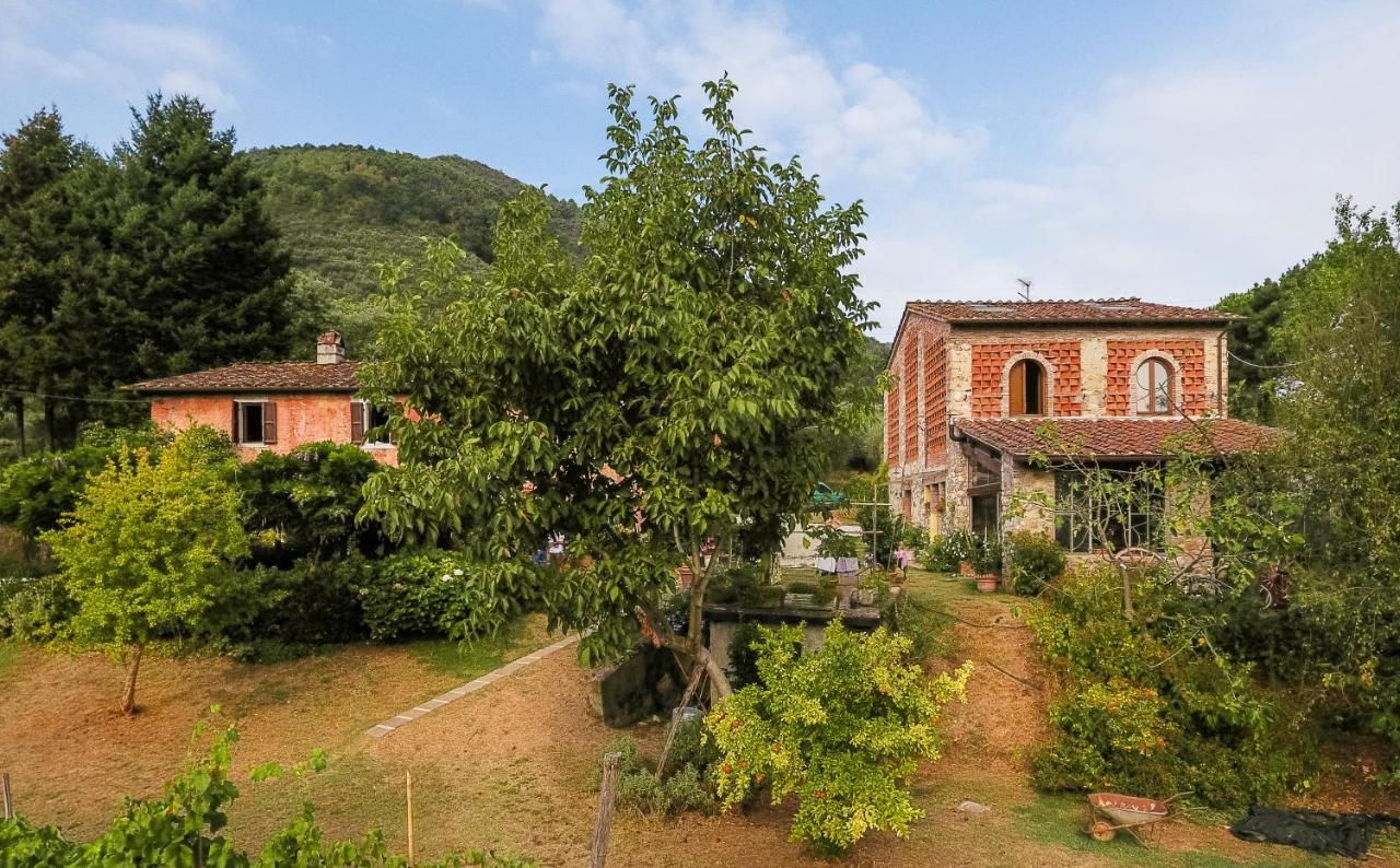 Гостьовий будинок Casa Gaia Лукка Екстер'єр фото